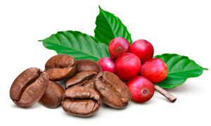 beens coffee